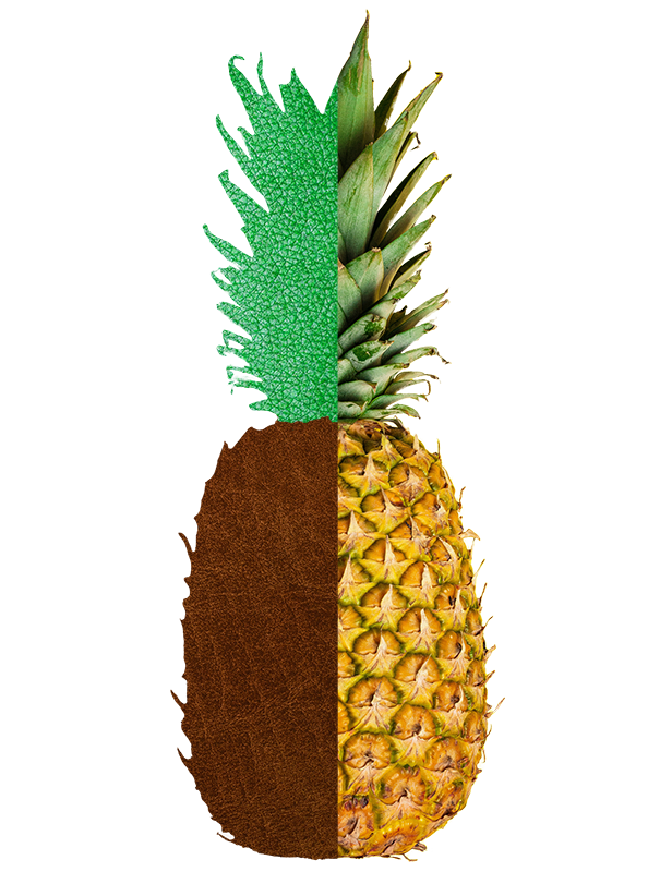 Pineapple ale leather picture