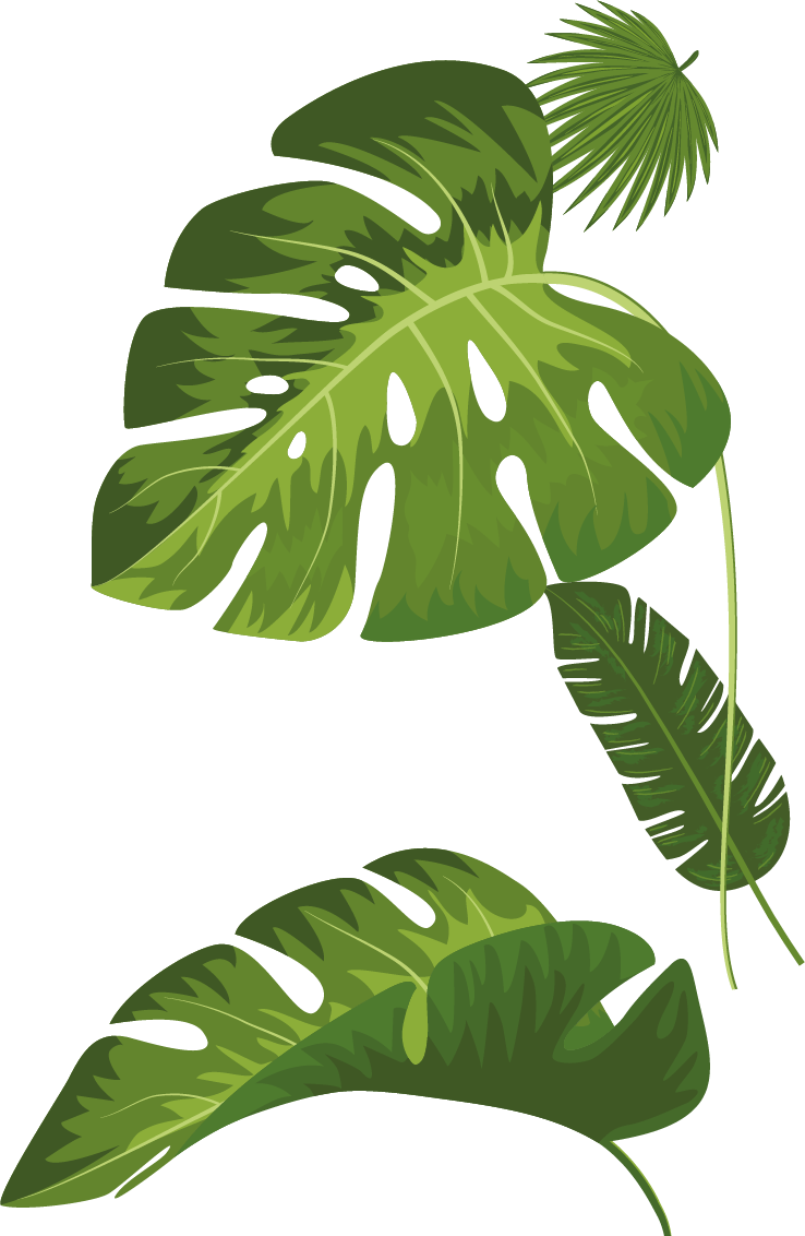 Leaves graphic